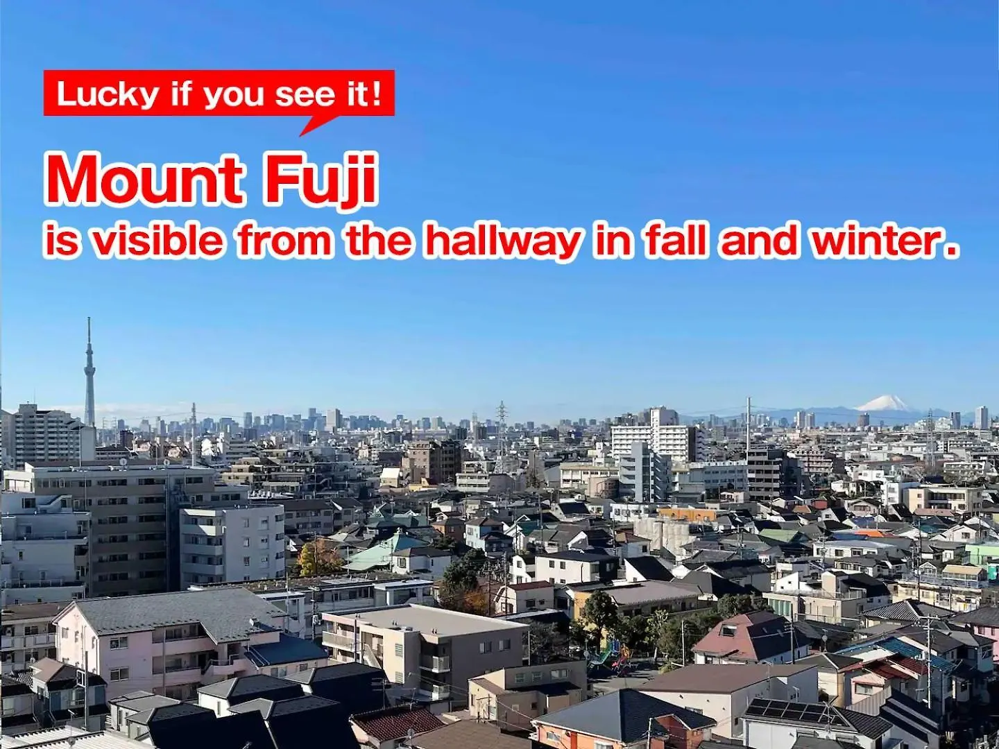 Apartmán Sc Kameari 1103 Prefektura Tokio